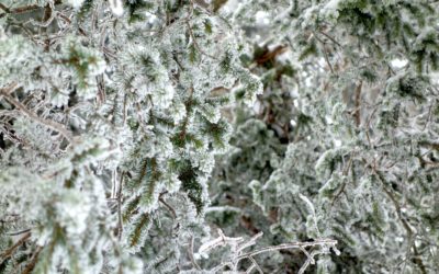 How to know which soft skills training is best for my career?