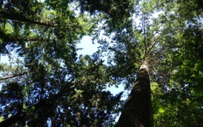 Lack of communication about soft skills training programs in academia