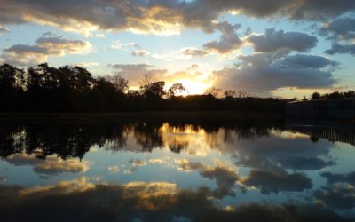 How a doctoral program saved my PhD