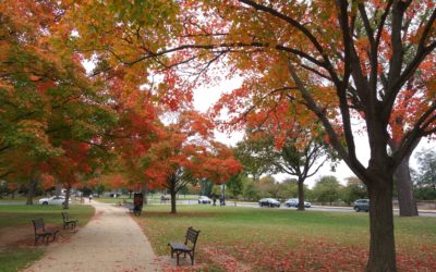 How project management can help reducing PhD students’ anxieties