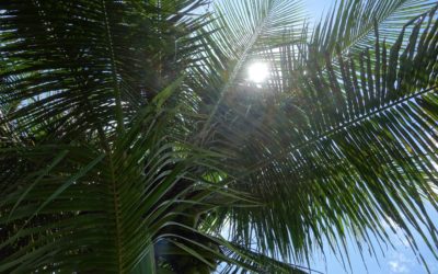 Managing professional relationships