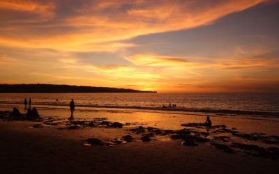 Where can I find soft skills training in academia?