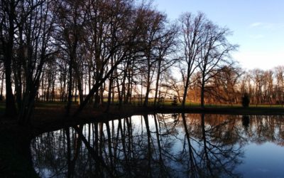 How to use retro-planning to plan your PhD graduation