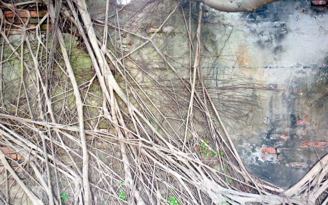 Guidelines to draw a timeline of your PhD