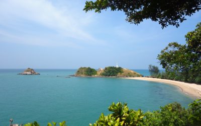 Effective brainstorming skills for academic lab meetings