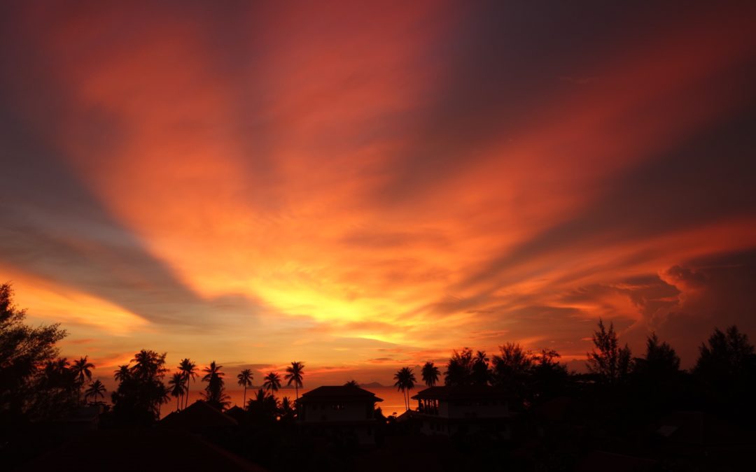 What is the mental health crisis in academia?