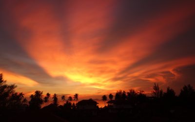 What is the mental health crisis in academia?