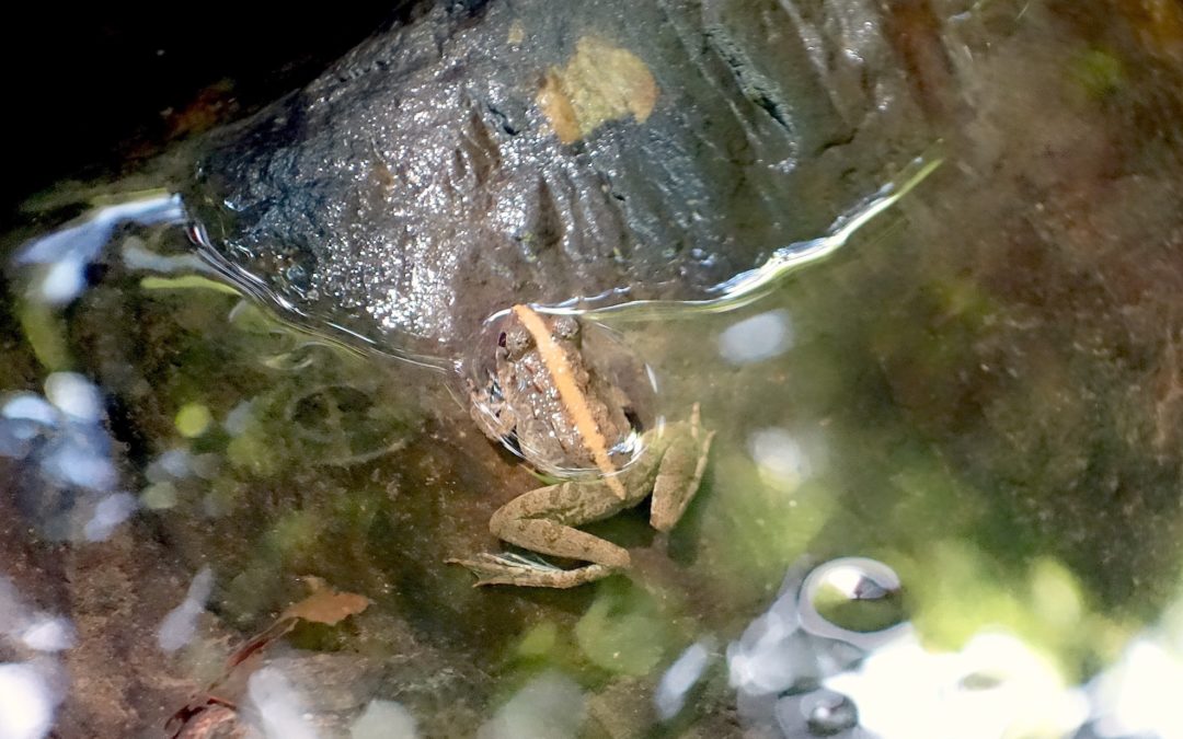 Let’s try to plan a realistic To-Do list for the week