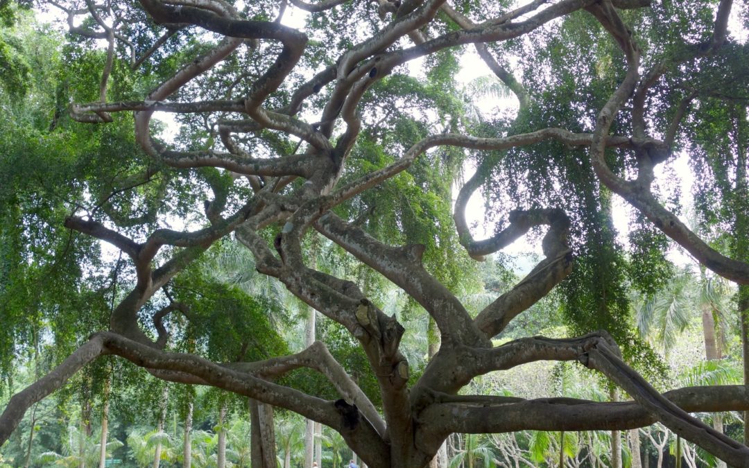 Are Gantt charts useful for PhD students?