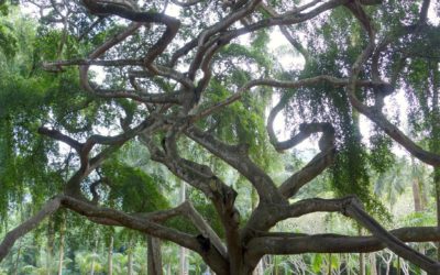 Are Gantt charts useful for PhD students?