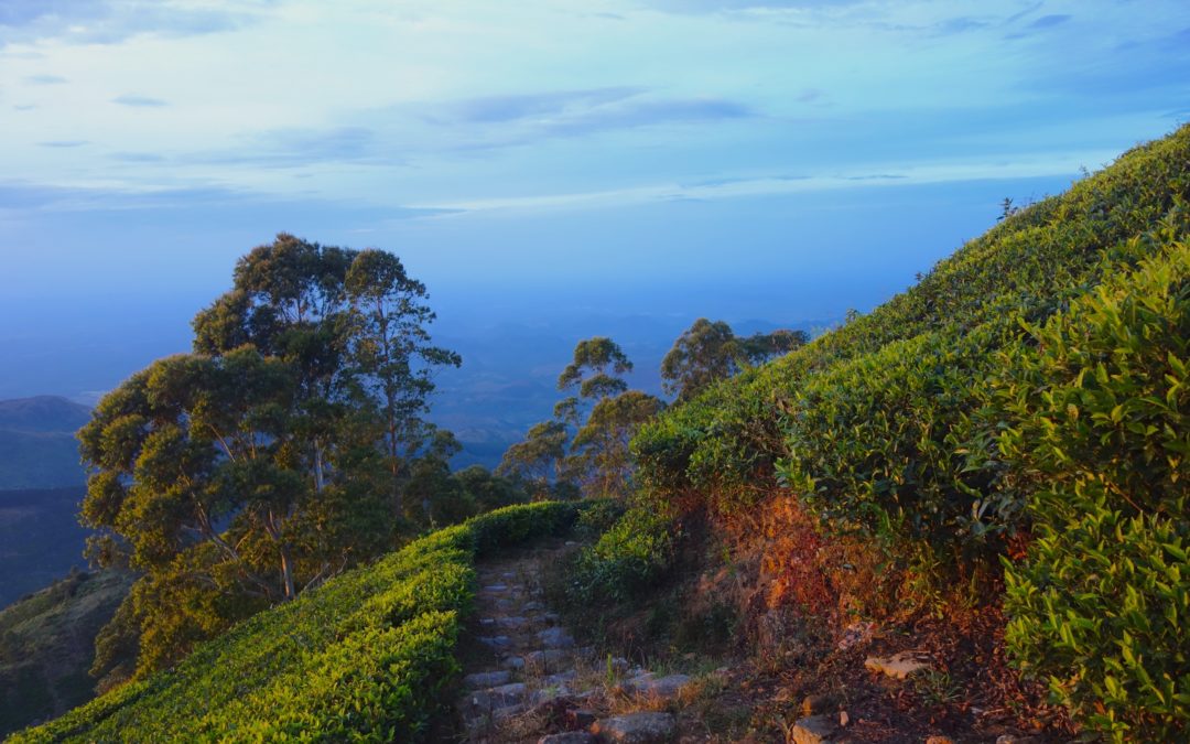 Project Management resource for PhD students and supervisors