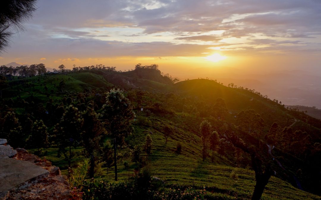 Highlights of a review about the PhD experience (Sverdlik et al., 2018)