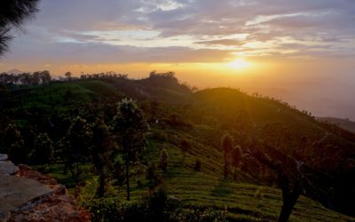 Highlights of a review about the PhD experience (Sverdlik et al., 2018)