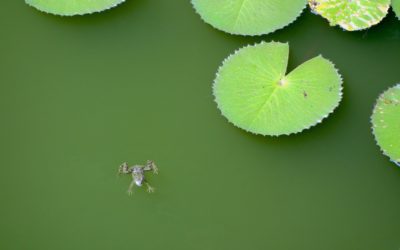 YouTube Channels and Videos for PhD Students – Resource