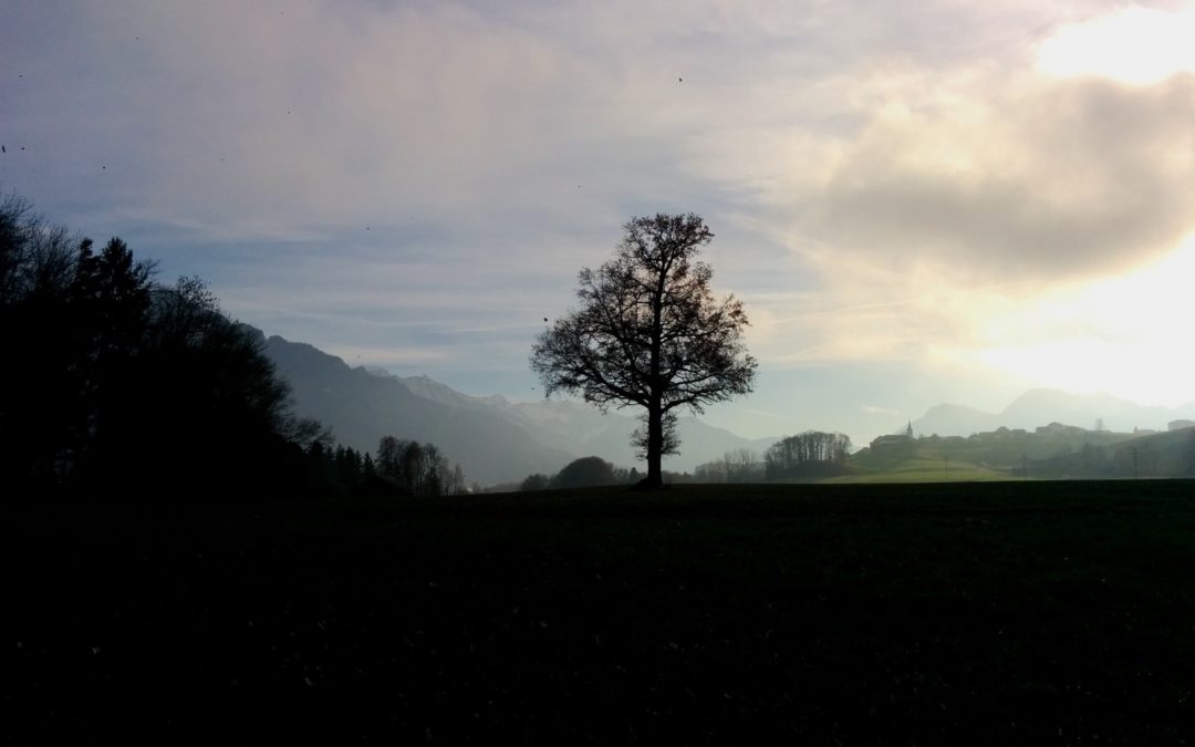 Twitter @ and # for PhD Students – Resource