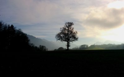 Twitter @ and # for PhD Students – Resource