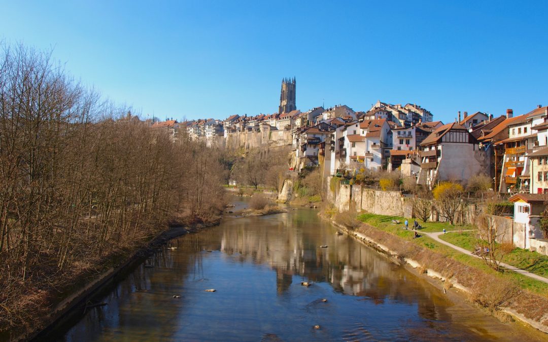 Career Services for PhDs in Swiss Universities and HE