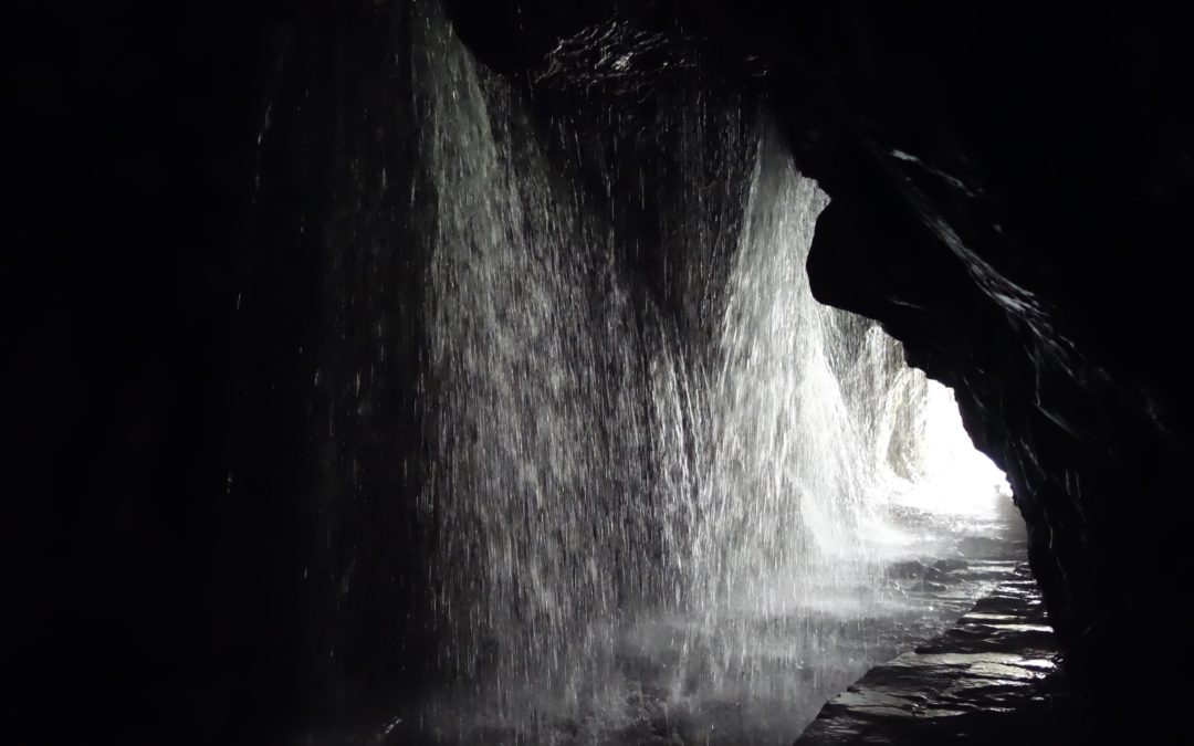 PhD Students Mental Health and Career Prospects