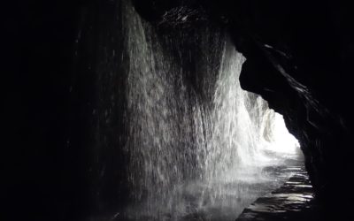 PhD Students Mental Health and Career Prospects