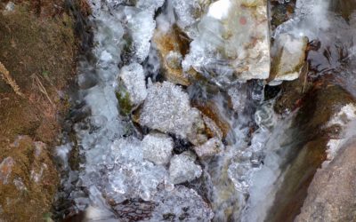 Shut Up & Write events in Switzerland