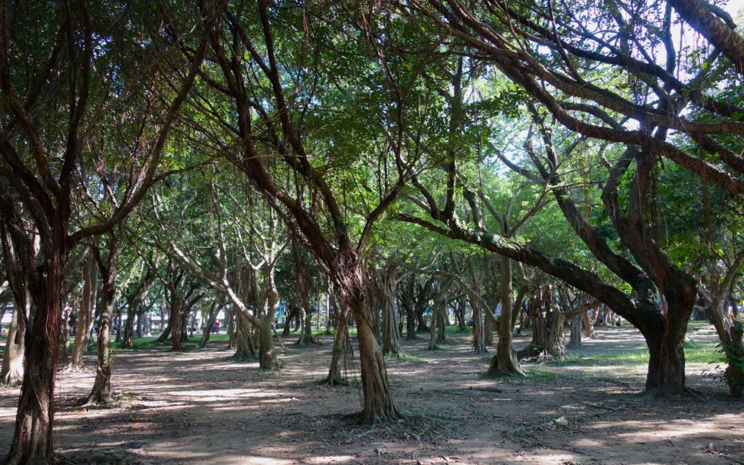 Academic & non-academic career Resource for EU and +