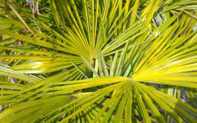 You’re an academic facing unemployment in Switzerland? The BNF is here to help you