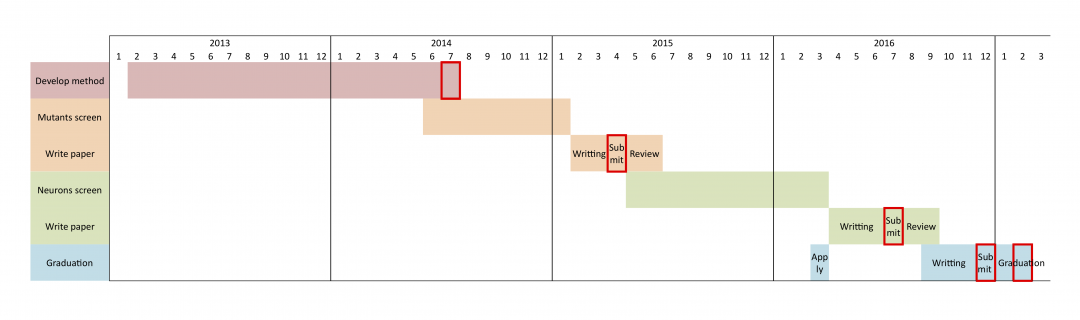 gantt diagram phd